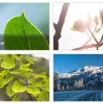 Captify - displaying image caption JQuery plugin