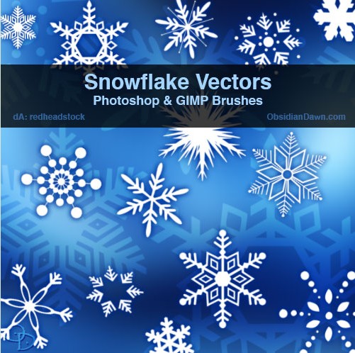 Snowflake Vectors