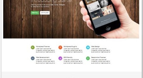 starter-wordpress-theme