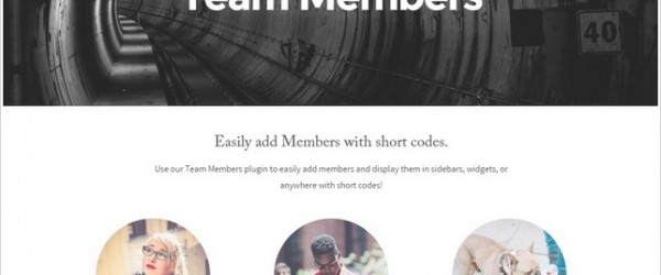 proper-lite-wordpress-theme